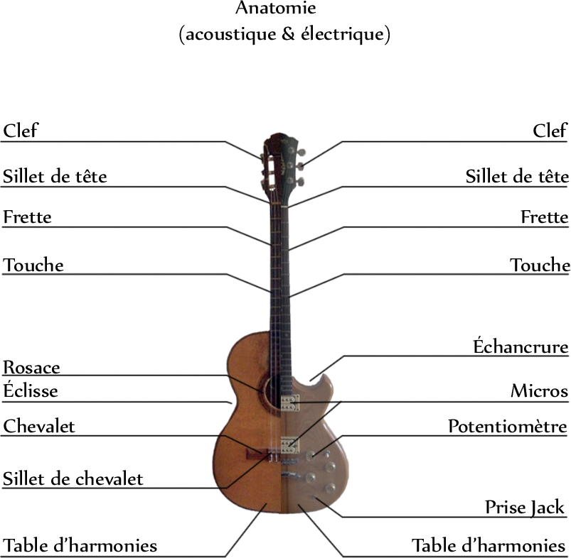 Anatomie de la guitare Electrique